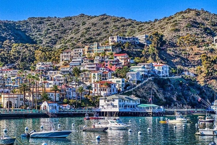Discover Avalon: Catalina Scenic Tour - Photo 1 of 4